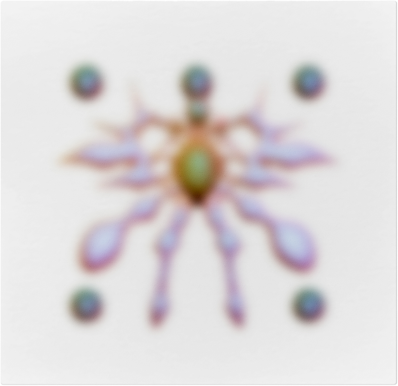 Arthropod 5