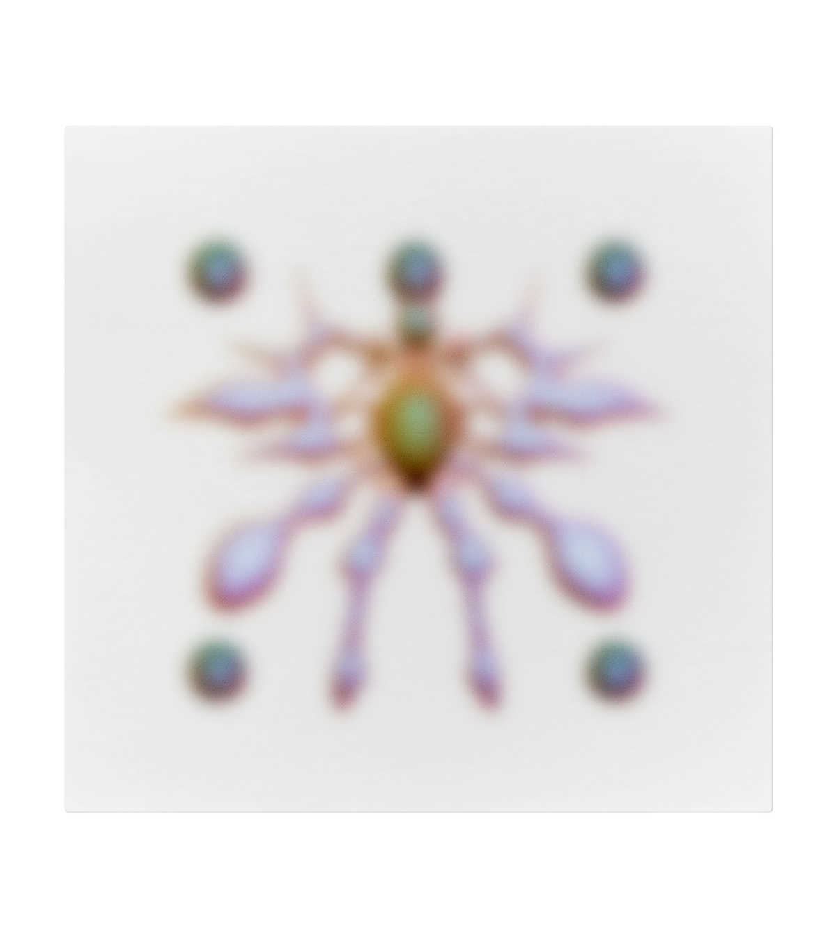 Arthropod 5