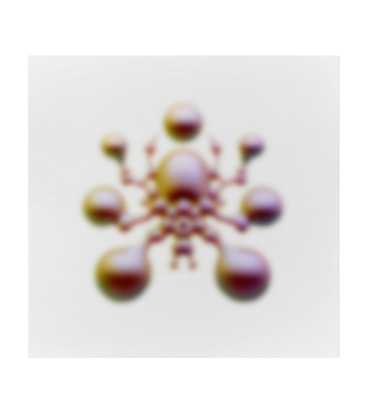 Arthropod 3