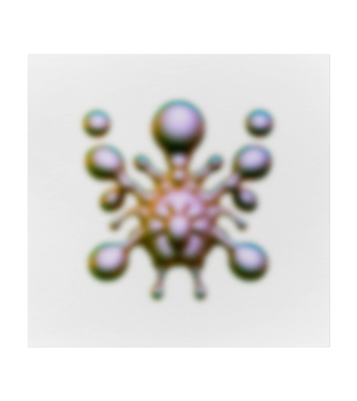 Arthropod 2