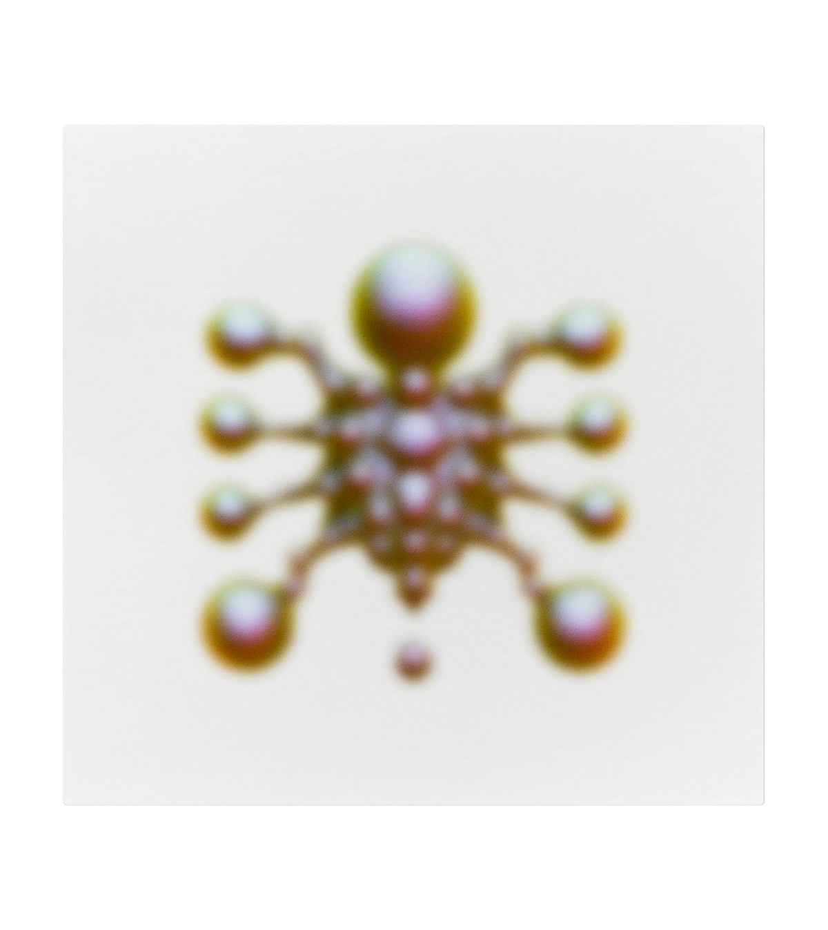 Arthropod 1