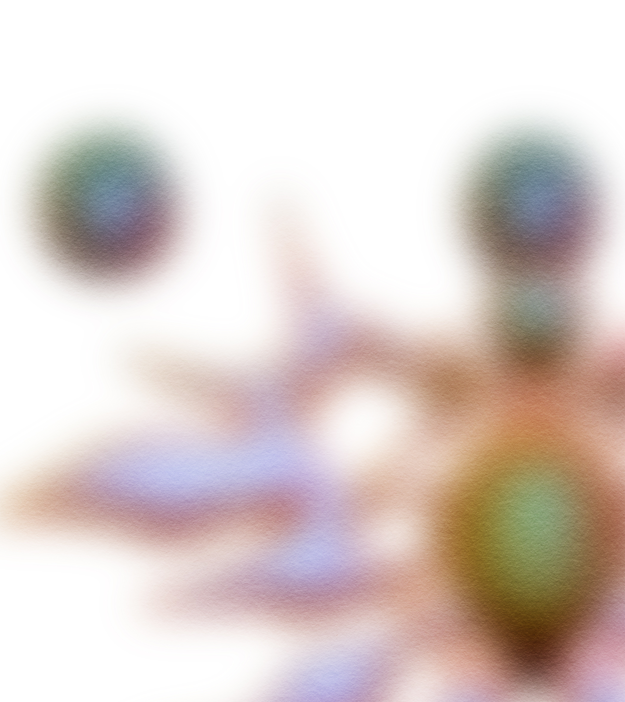 Arthropod 5