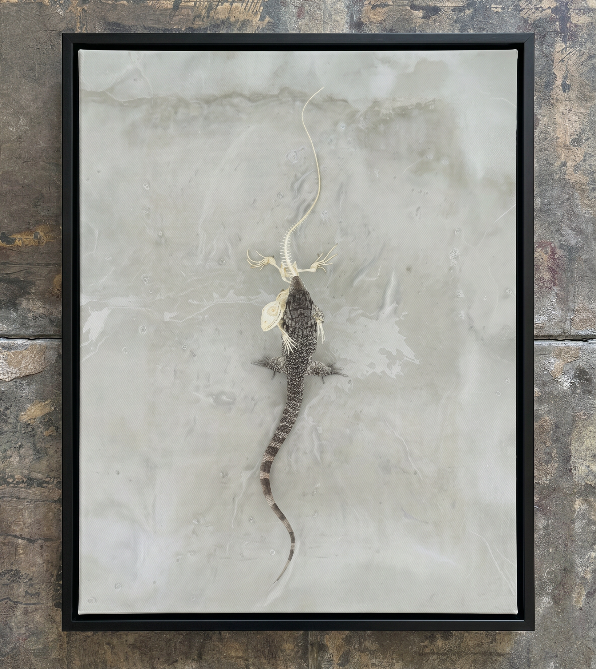 Love Paradox Print