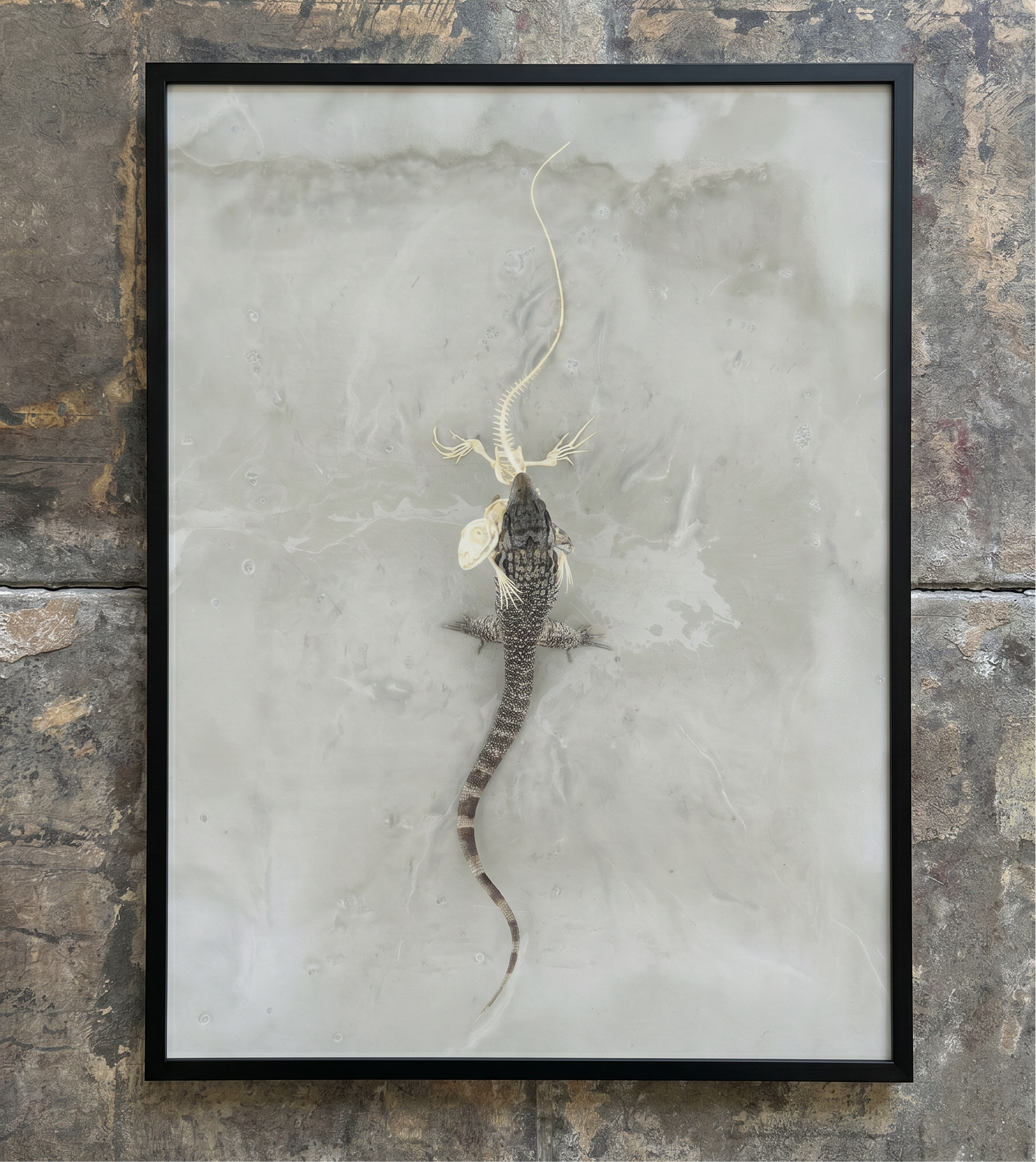 Love Paradox Print