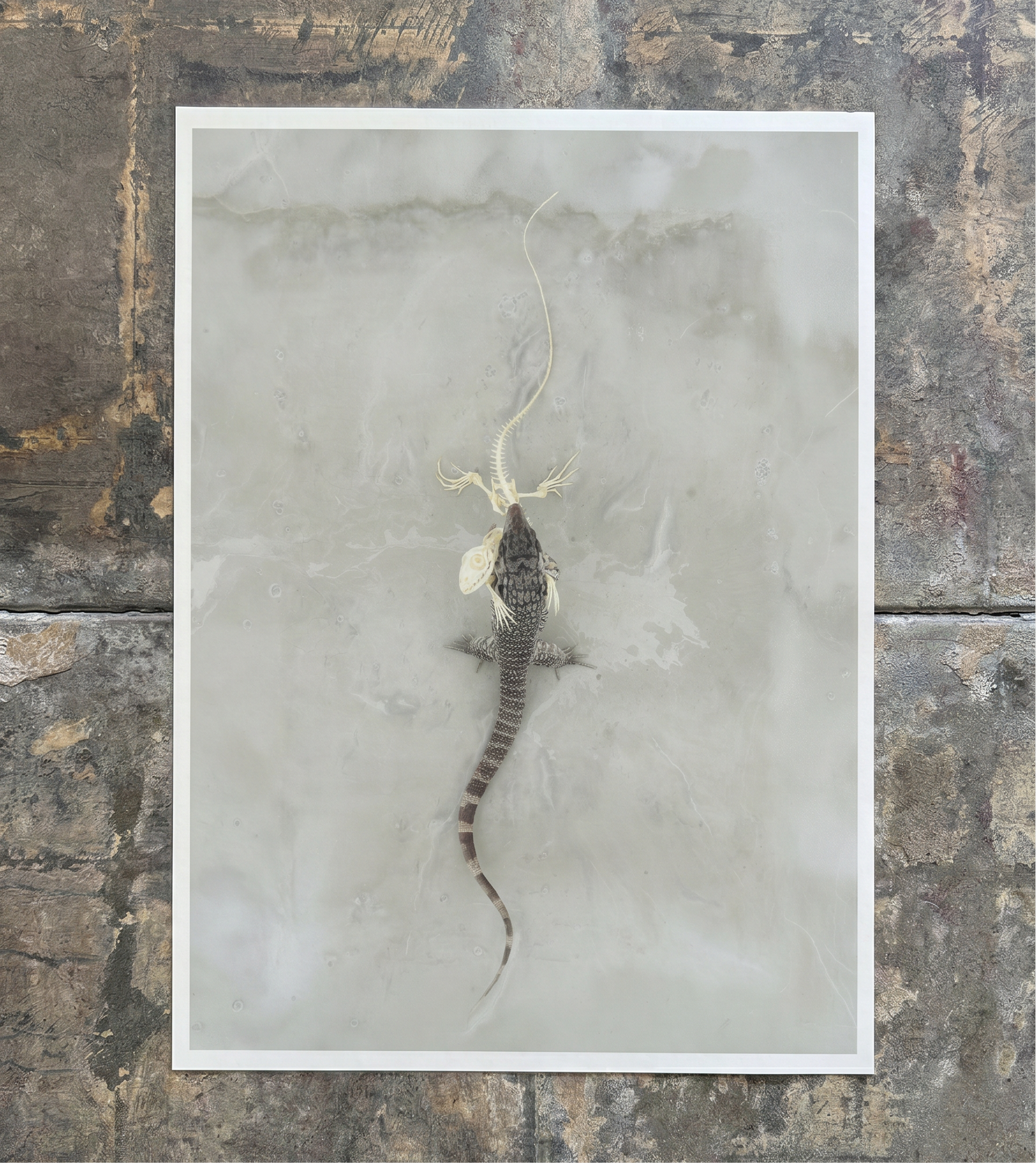 Love Paradox Print
