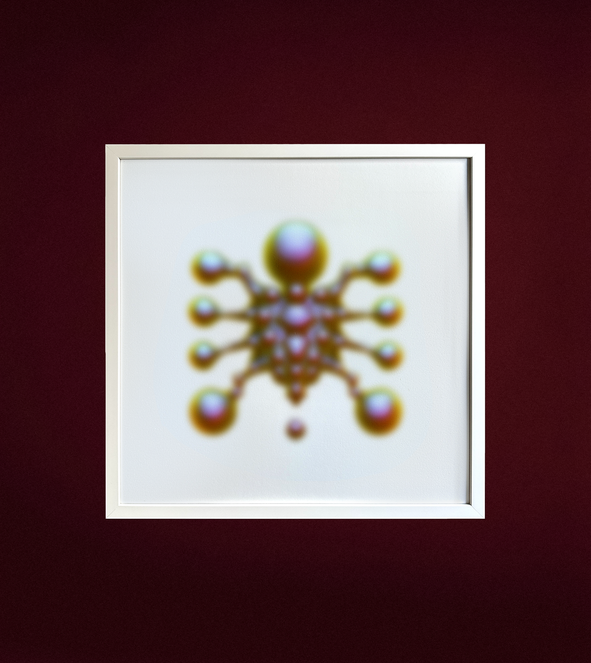 Arthropod 1