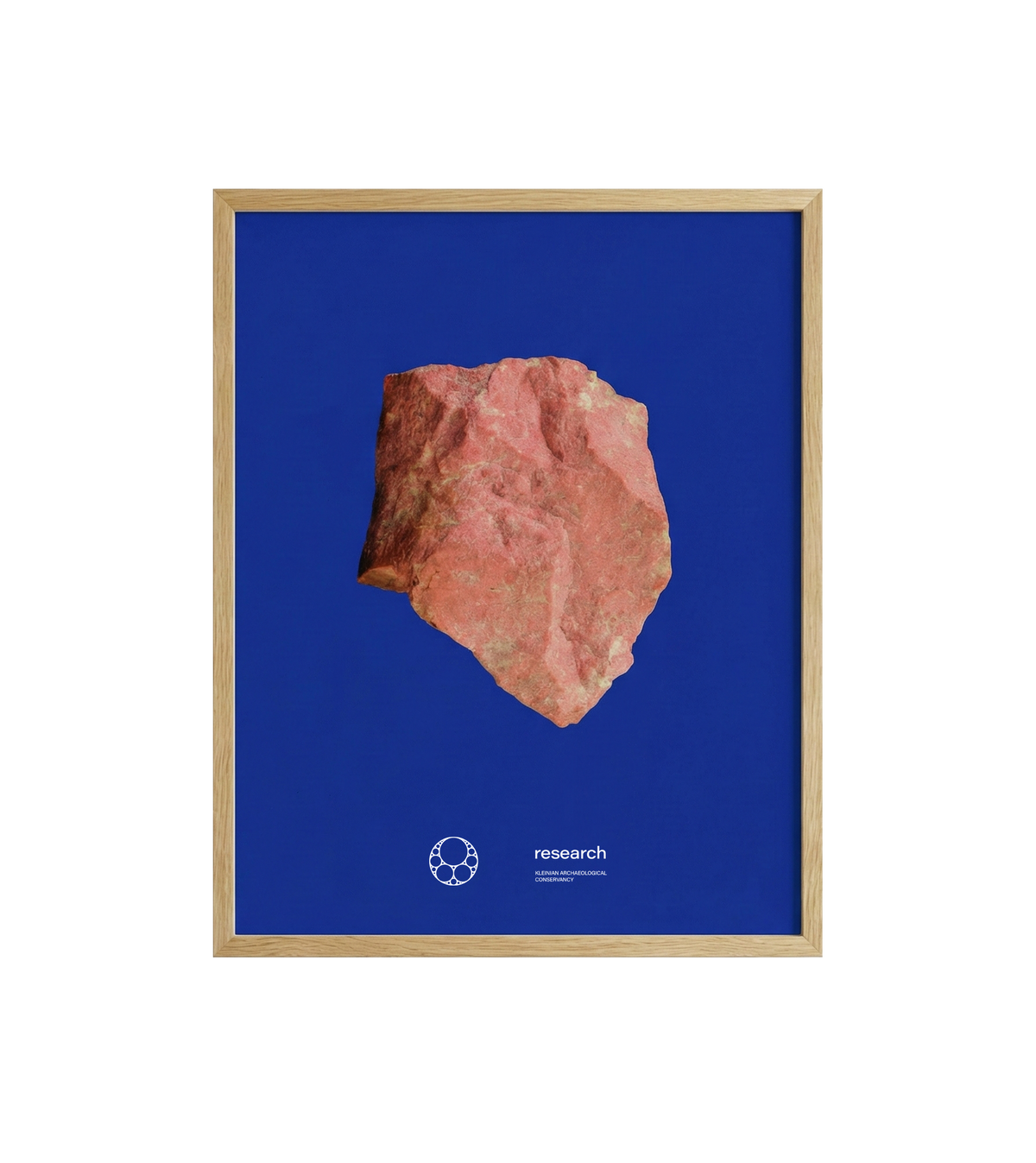 Research Specimen Print 5, framed