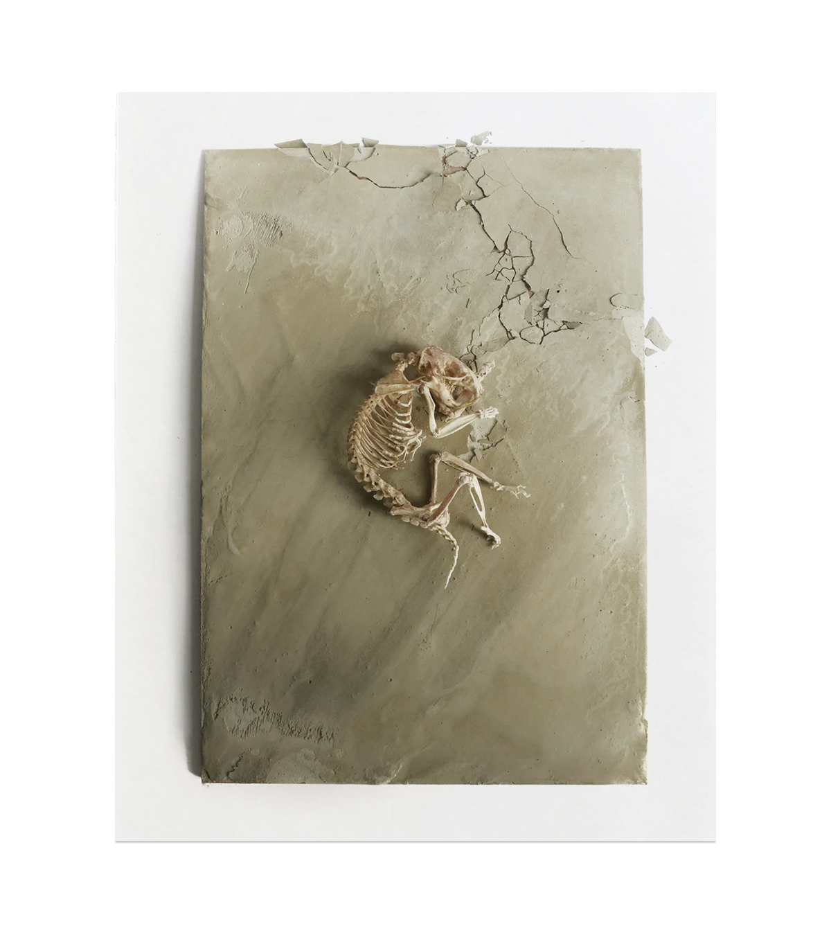 Return to Wholeness Print
