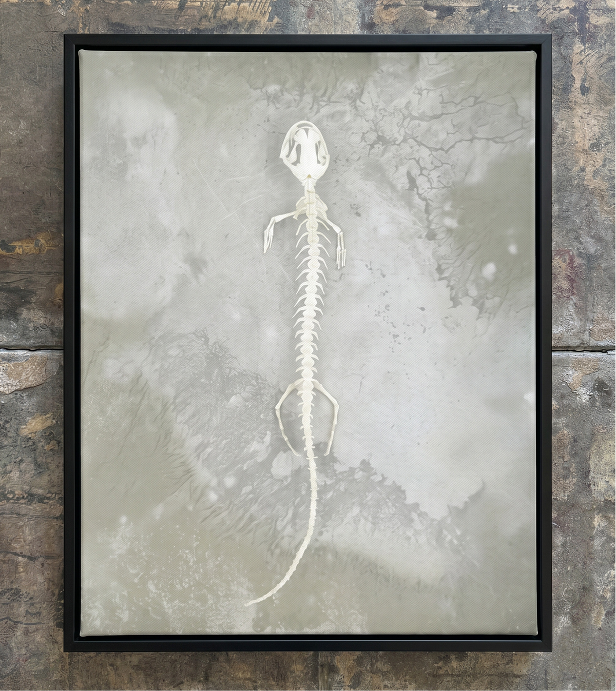 Axolotl Skeleton Print
