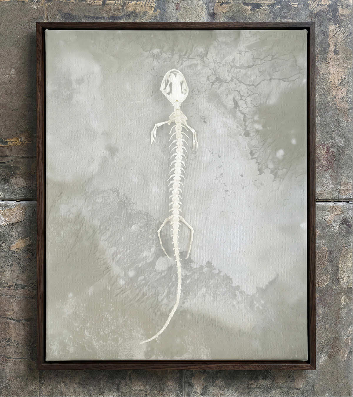 Axolotl Skeleton Print