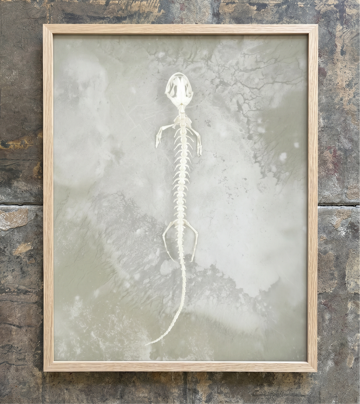 Axolotl Skeleton Print