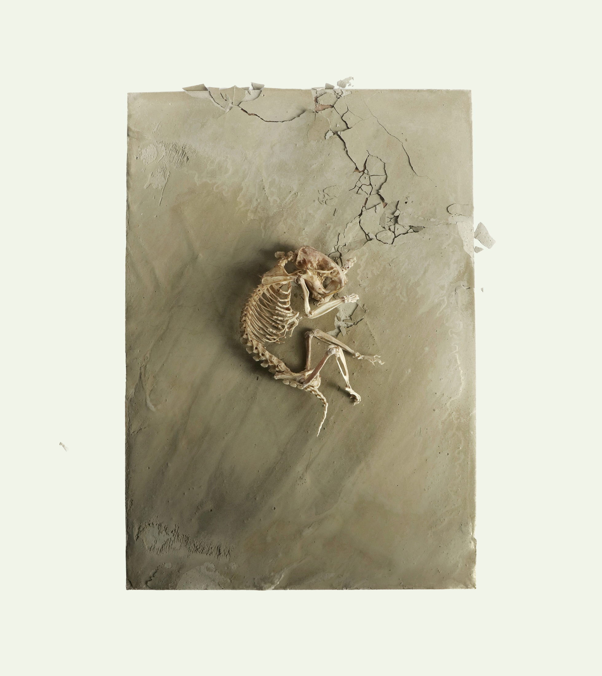 'Return to Wholeness' Print