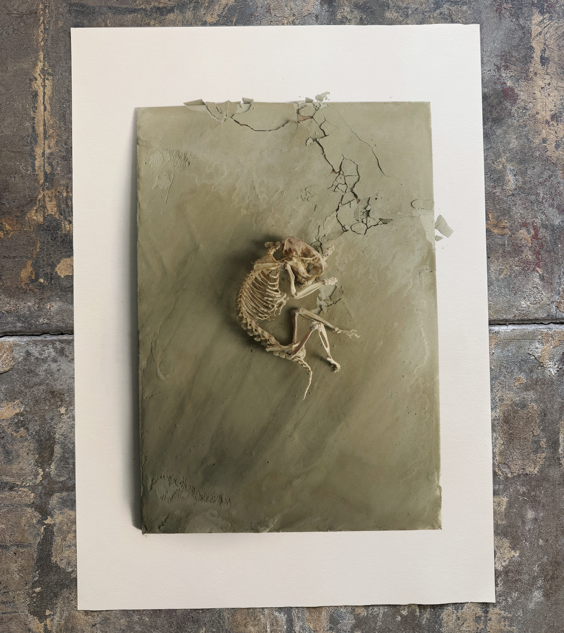 'Return to Wholeness' Print
