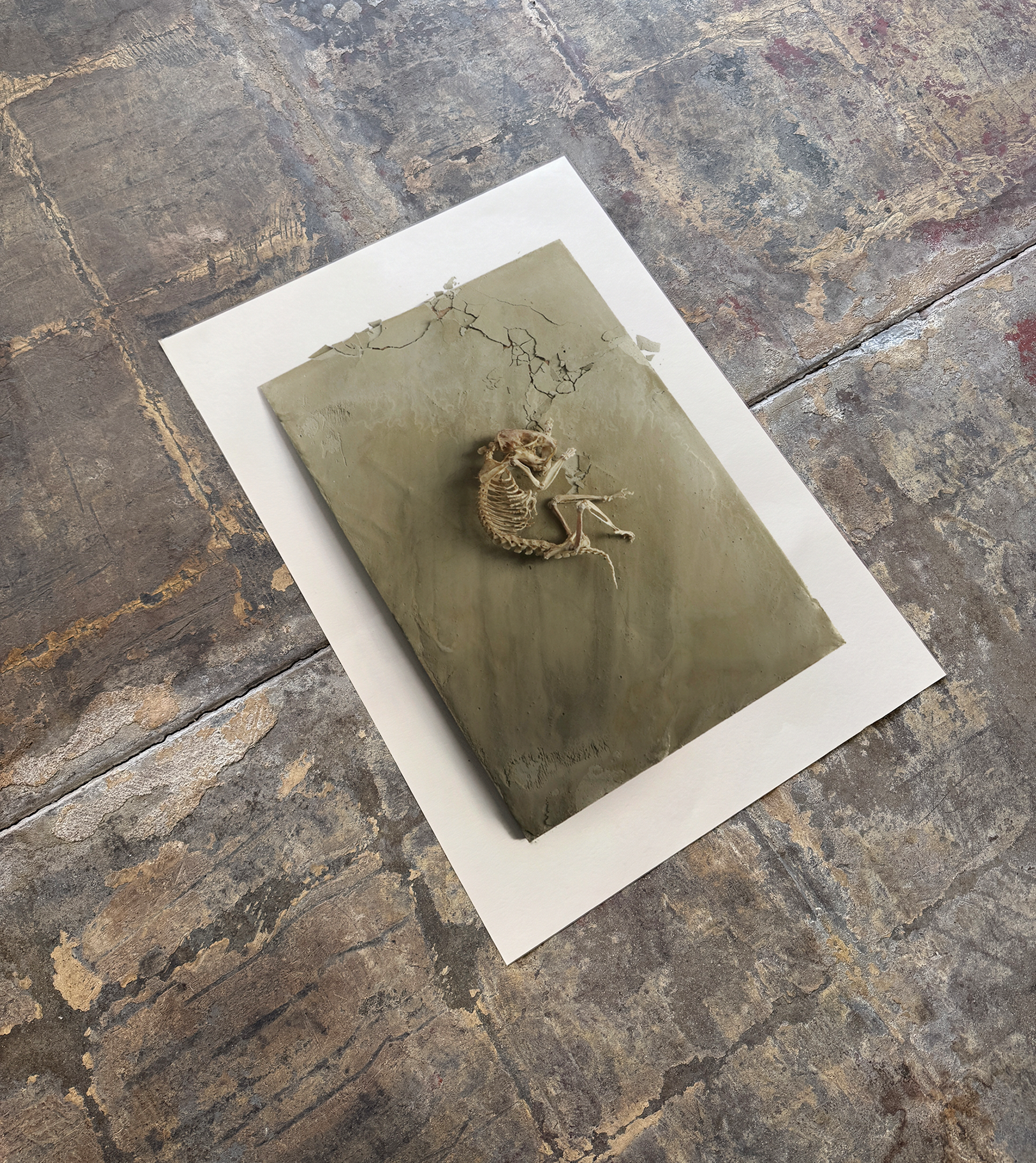 'Return to Wholeness' Print